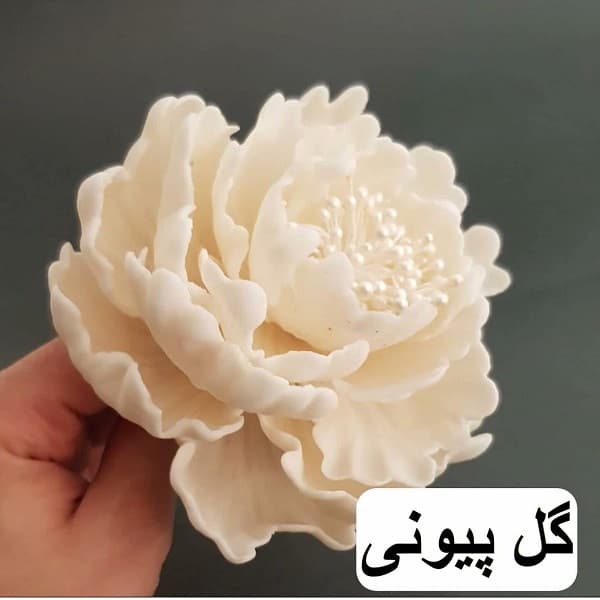 قالب فوندانت و کاتر شیرینی پزی به گز مدل گل پیونی مجموعه 6 عددی — تصویر ۶