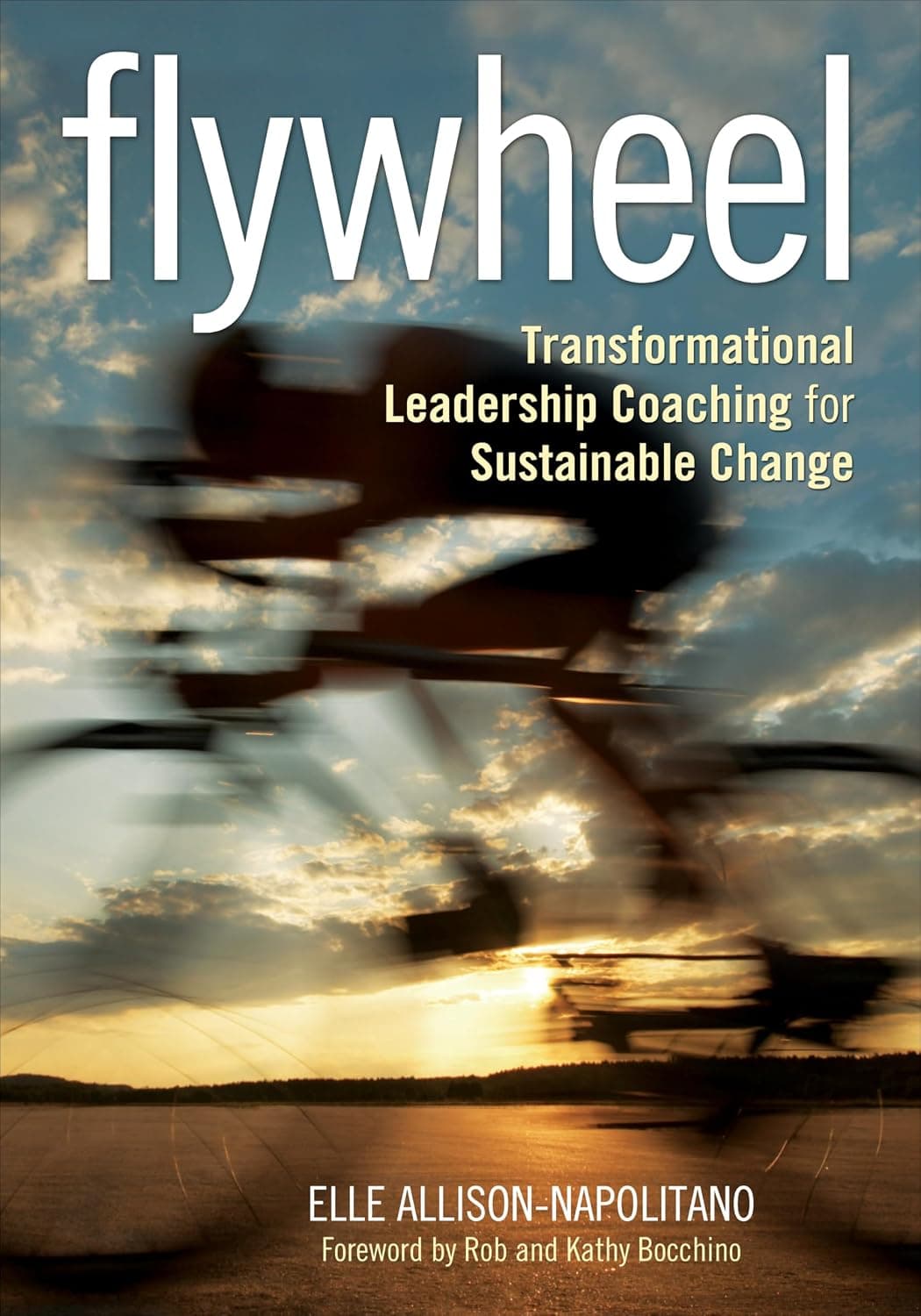 کتاب فلایویل: کوچینگ رهبری تحولآفرین برای تغییر پایدار (Flywheel: Transformational Leadership Coaching for Sustainable Change) نسخه انگلیسی PDF | آیلین تی. آلیسون-ناپولیتانو