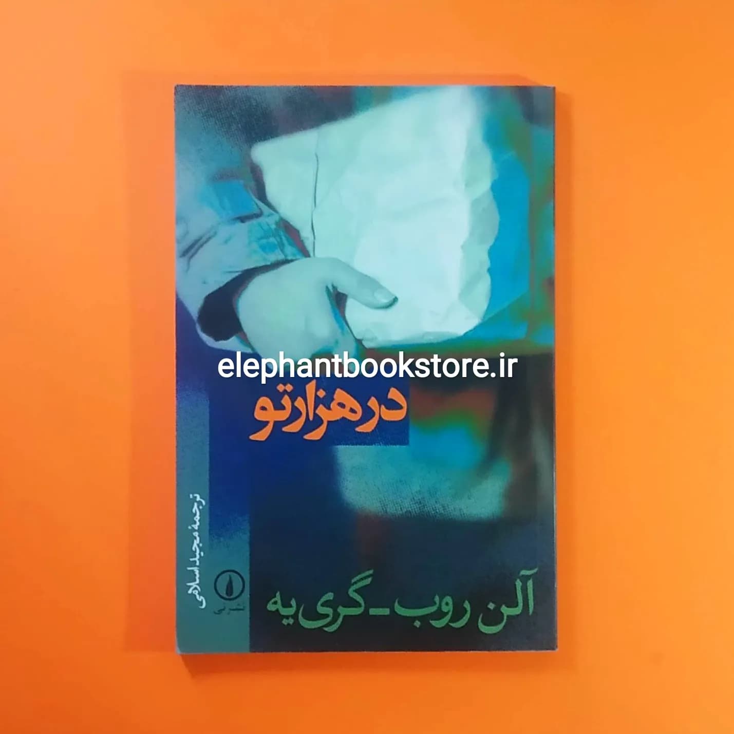 کتاب در هزار تو اثر آلن روب گری یه