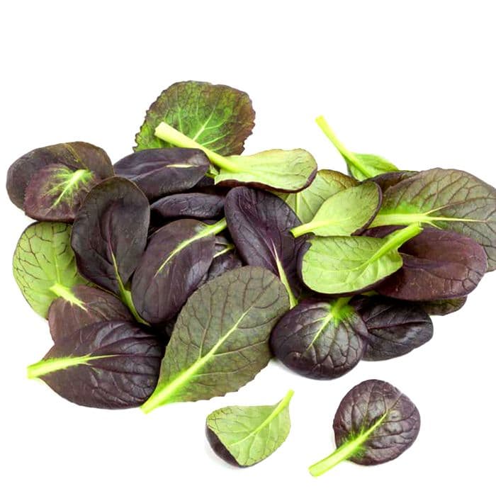 بذر کوماتسونا بنفش بسته ۵۰ عددی