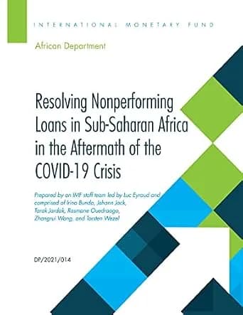 و دانلود نسخه کامل کتاب زبان اصلی Resolving Nonperforming Loans in Sub-Saharan Africa in the Aftermath of the COVID-19 Crisis (Departmental Papers) PDF | دانلود کتاب خارجی