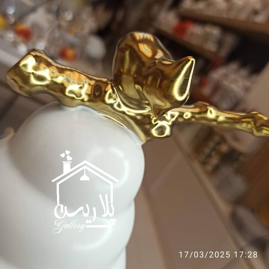 جینجرجار ژورنالی وارداتی ۱۸۱۱۶ — تصویر ۵