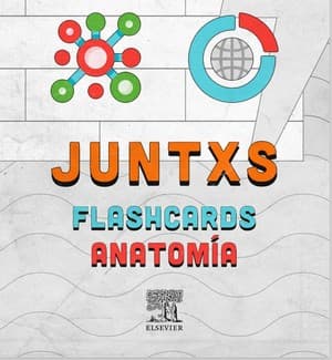 دانلود کتاب Flashcards-Anatomia-SLM-BTU–3