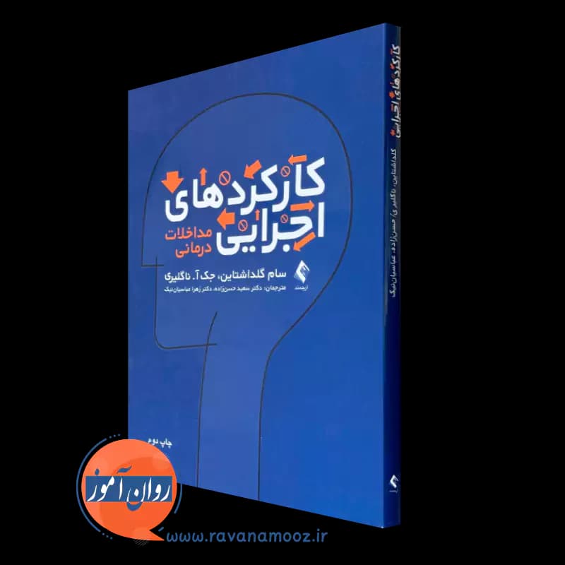 کارکردهای اجرایی، مداخلات درمانی – سام گلدشتاین