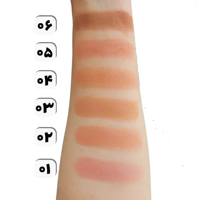رژگونه کالر اند آرت کالیستا Callista Color & Art Blush 8g — تصویر ۳