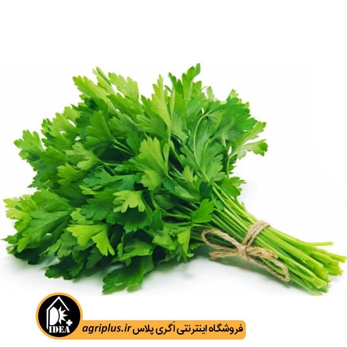 بذر جعفری بسته بندی خانگی — تصویر ۲