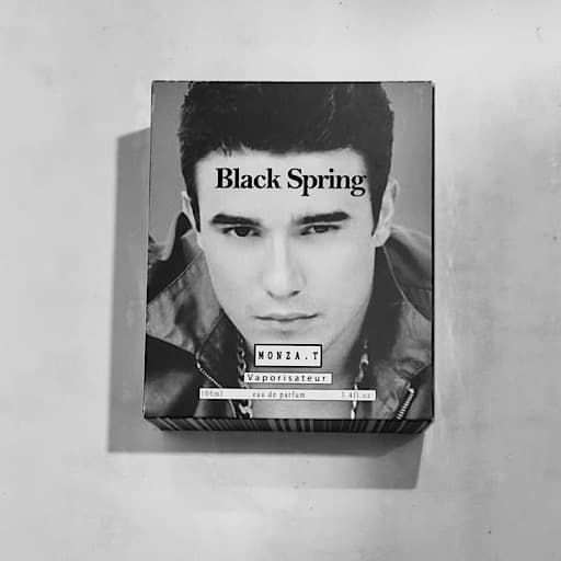 ادکلن بلک اسپرینگ Black Spring For Men Eau de parfumحجم 100میل (اصلی)