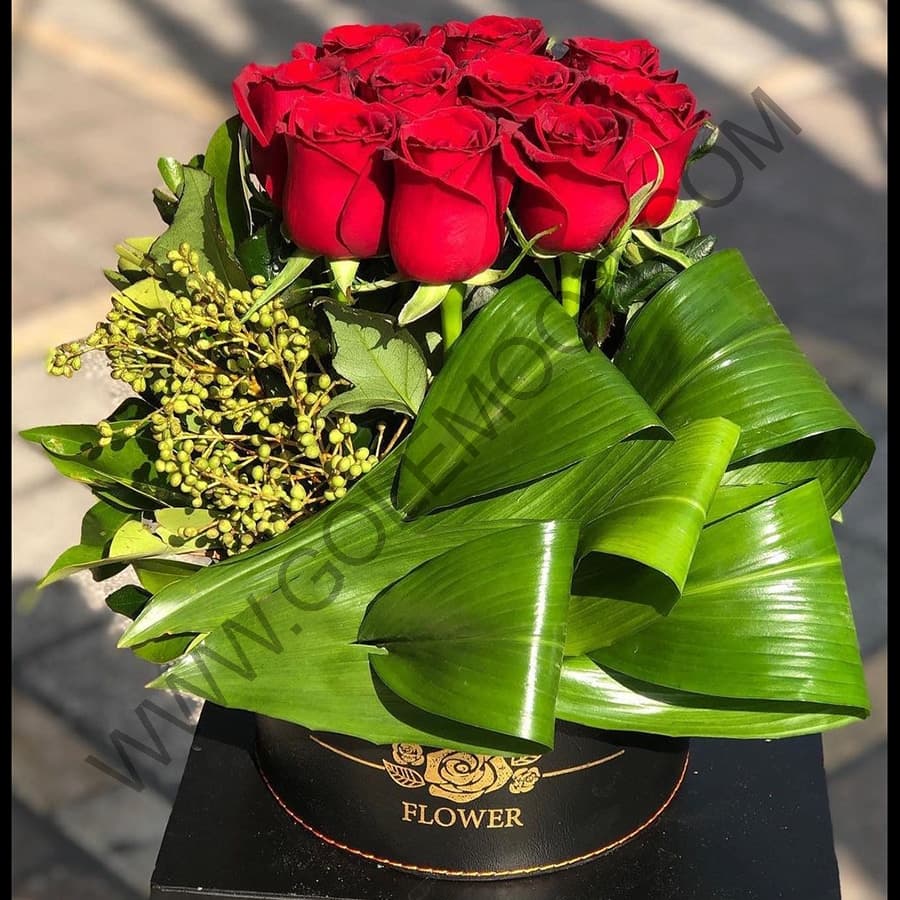 باکس گل فرناند — تصویر ۲