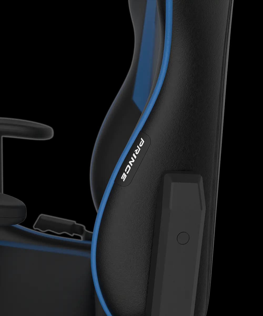 صندلی گیمینگ دی ایکس ریسر DXRacer P132 Prince Series Gaming Chair – Black/blue — تصویر ۷