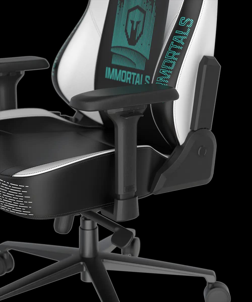 صندلی گیمینگ دی ایکس ریسر DXRacer Craft Pro Immortals – Black/white — تصویر ۴