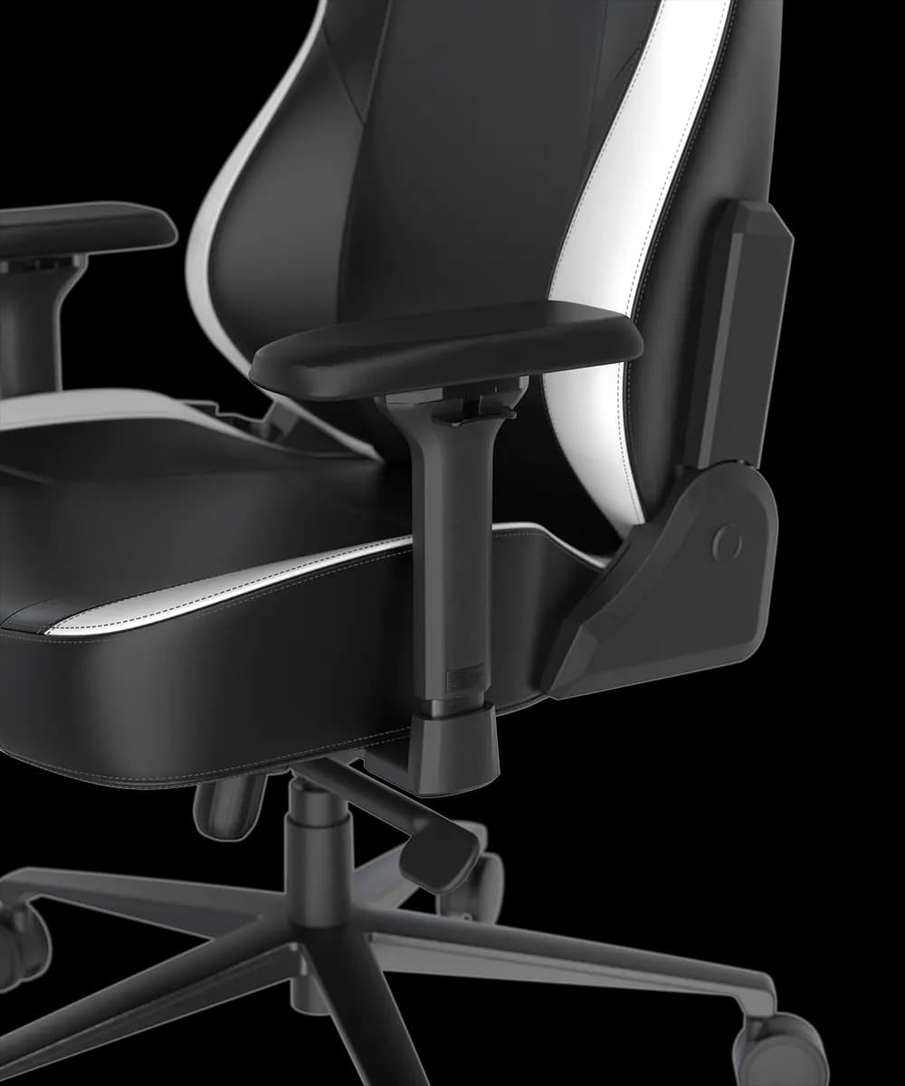 صندلی گیمینگ دی ایکس ریسر DXRacer Craft Pro Classic – Black/white — تصویر ۴