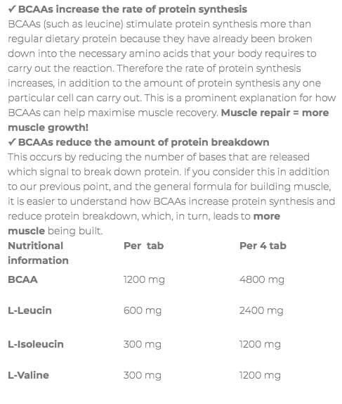 بی سی ای ای ۴۸۰۰ فیت فاکس | FITFOX EXP BCAA 4800 — تصویر ۲