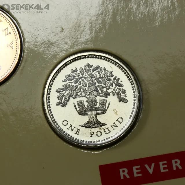 پک سکه های پروف انگلیس 1992 ROYAL MINT (به همراه یک 50 پنس یادبودی اضافه )(UNC) — تصویر ۸