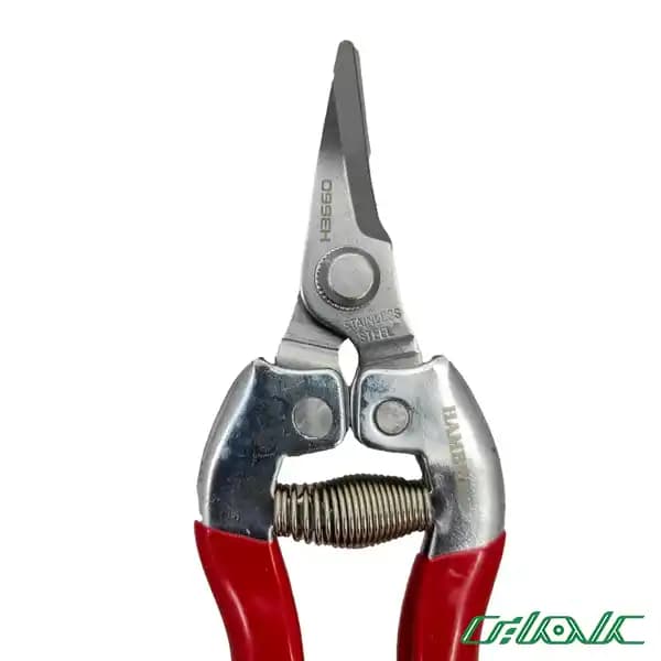 قیچی میوه چین هامبورگ مدل H-3660 — تصویر ۲