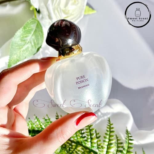 عطر ادکلن مینی دیور پیور پویزن برندینی| Dior Pure Poison Brandini حجم 33 میل — تصویر ۲