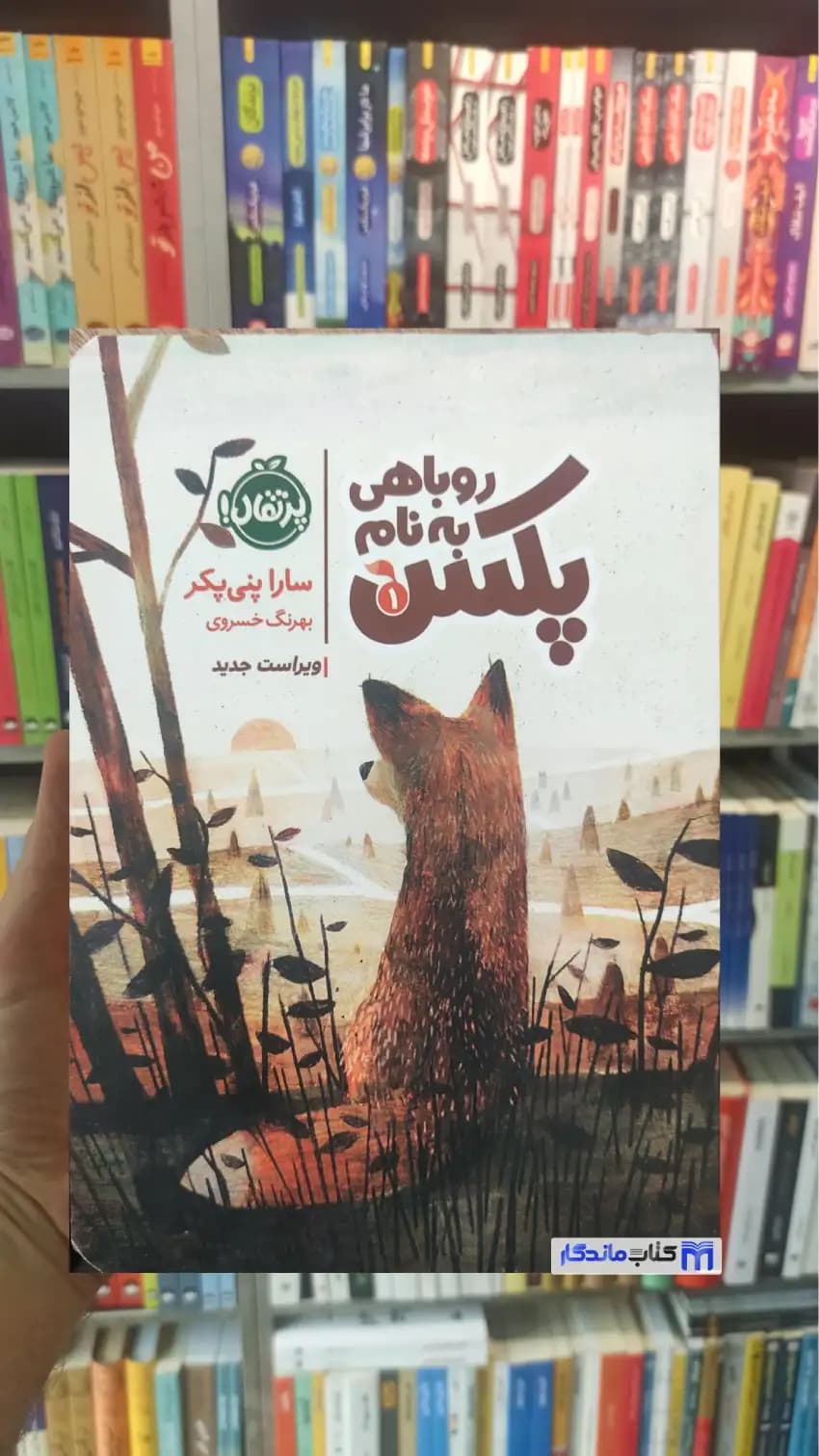 روباهی به نام پکس پنی پکر پرتقال