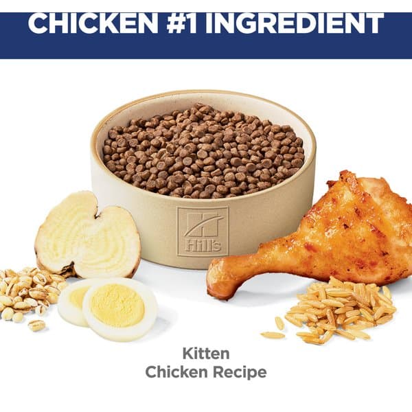 غذای خشک بچه گربه هیلز ساینس دایت رشد سالم طعم مرغ ۷.۰۳ کیلوگرم | Hill’s Science Diet Kitten Healthy Development Chicken Recipe Dry Cat Food, 15.5-lb bag — تصویر ۴