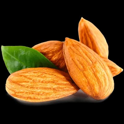 نهال بادام شاهرودی 120000