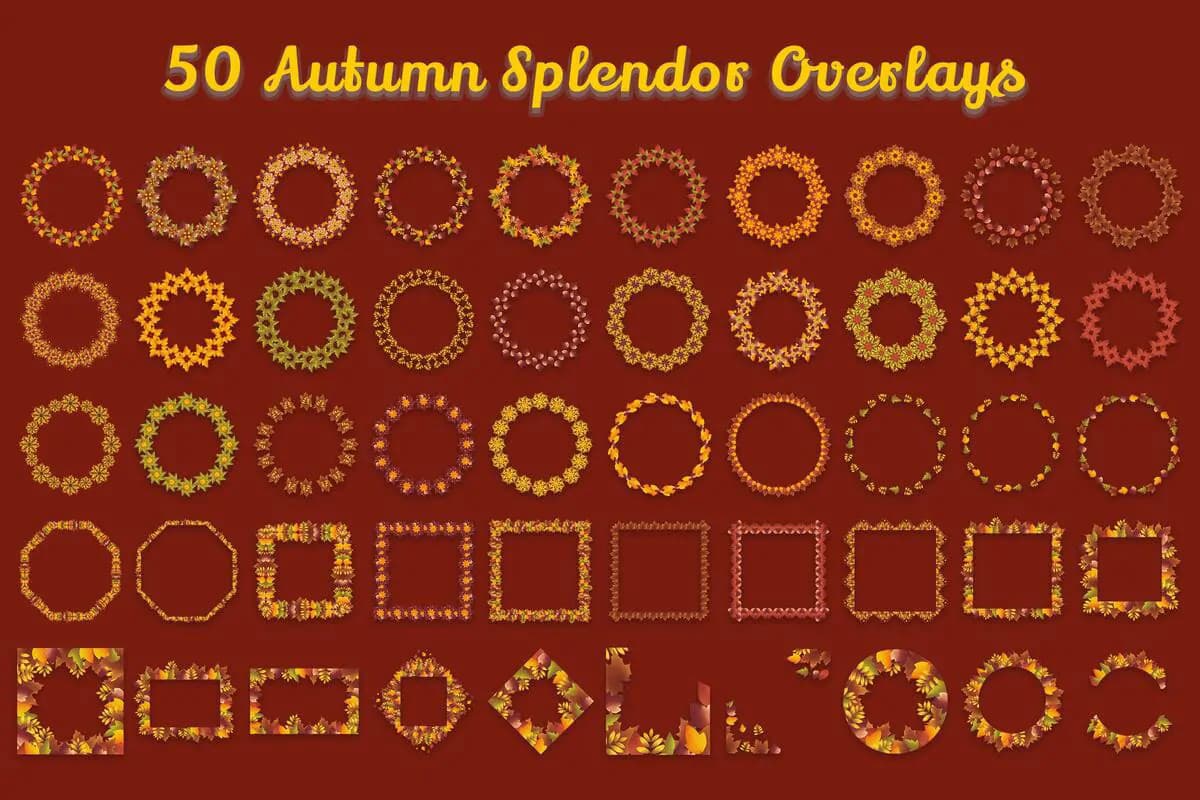 50 قاب و حلقه گل برگ های پاییزی — تصویر ۸