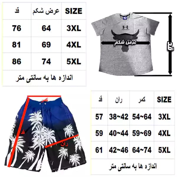 تیشرت و شلوارک POLO — تصویر ۴
