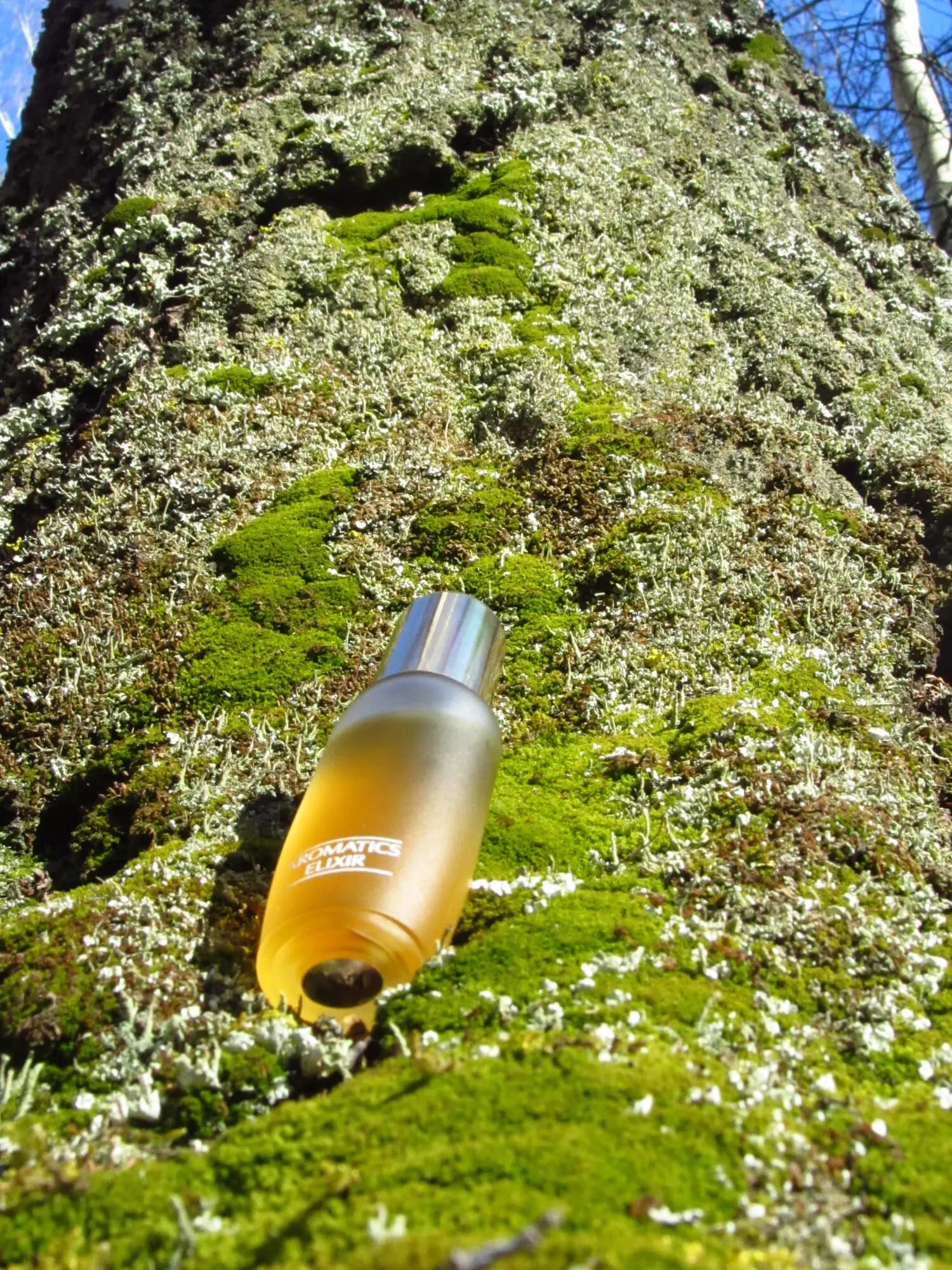عطر ادکلن کلینیک آروماتیک الکسیر اصل | Clinique Aromatics Elixir — تصویر ۱۱
