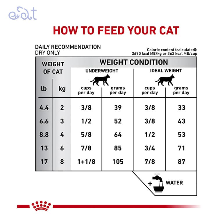 غذای خشک گربه گاسترو اینتستینال رویال کنین مدل Royal Canin Gastrointestinal وزن 2کیلوگرم — تصویر ۲