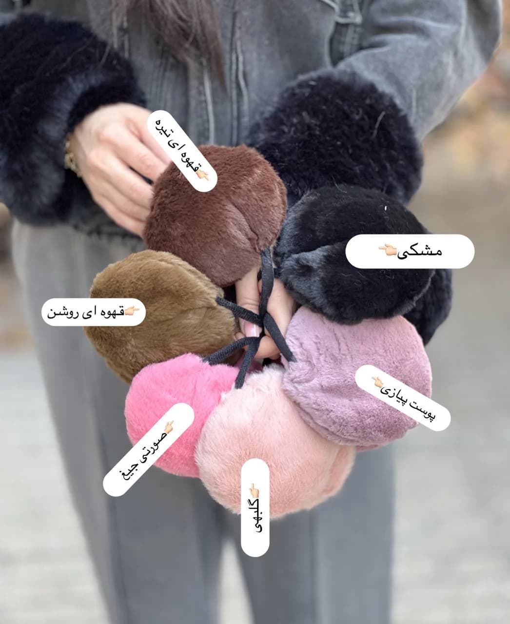 گوشگیر تلی پولیشی — تصویر ۵