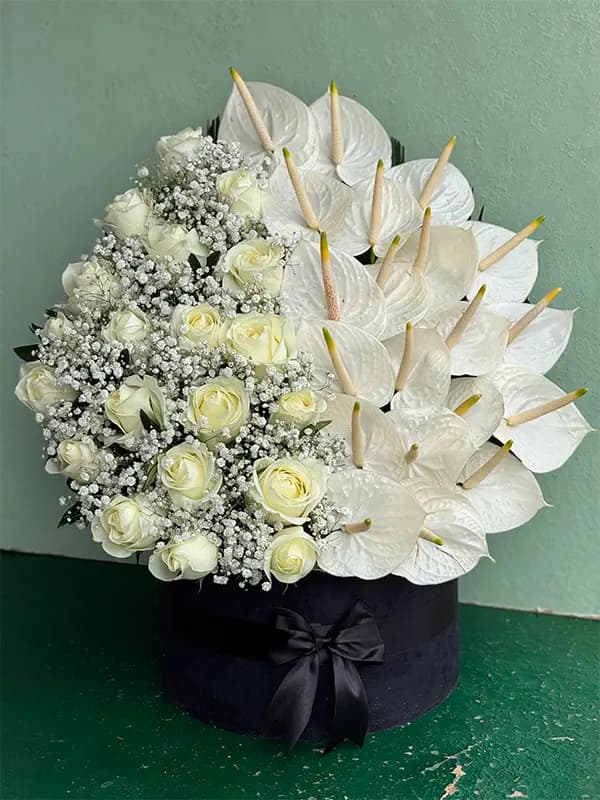 باکس گل کد 253
