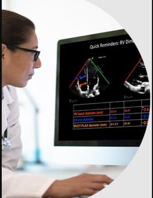 دانلود کتاب endocrinology