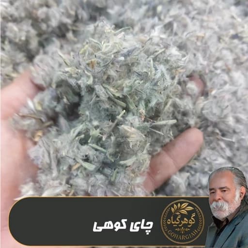 چای کوهی(توکلیجه، چای پشمی ،گل کوفته) تمیز شده - میزان دلخواه