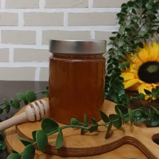 عسل طبیعی کوهستان چند گیاه 500گرمی(قنقال گون و گیاهان دیگر) مناسب غیر دیابتی و هم دیابتی تقویت گوارش