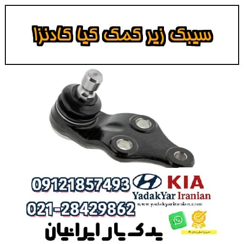 سیبک زیر کمک کیا کادنزا — تصویر ۲