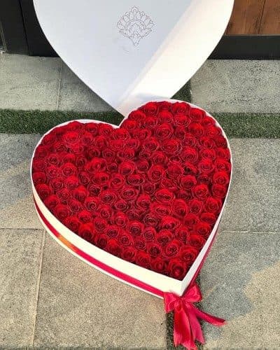 چطور میتوانم رز سیاه برای مراسمهای عیادت بیمار سفارش دهم؟