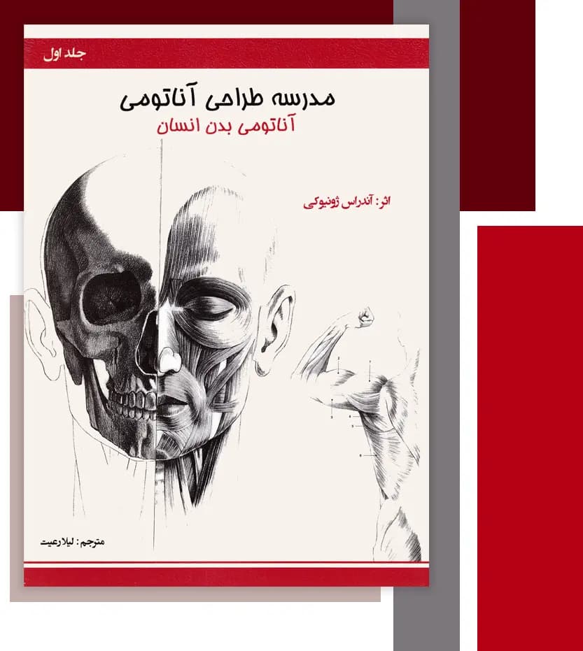 مدرسه طراحی آناتومی: آناتومی بدن انسان | نشر اکتا | خرید و معرفی — تصویر ۳