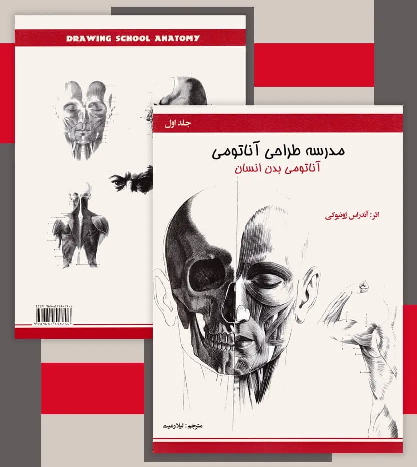 مدرسه طراحی آناتومی: آناتومی بدن انسان | نشر اکتا | خرید و معرفی — تصویر ۴