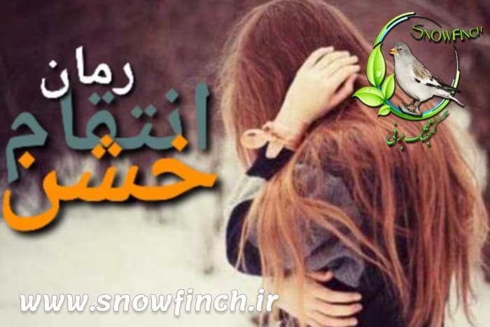 رمان انتقام خشن | رمانی عاشقانه و انتقامی از Black_Thunder | دانلود | کتاب خوان