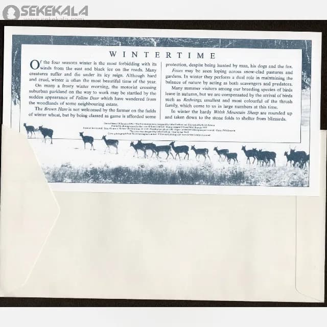 پاکت پستی مهر روز یادبودی زمستان بریتانیا 1992 (Royal Mail) — تصویر ۲