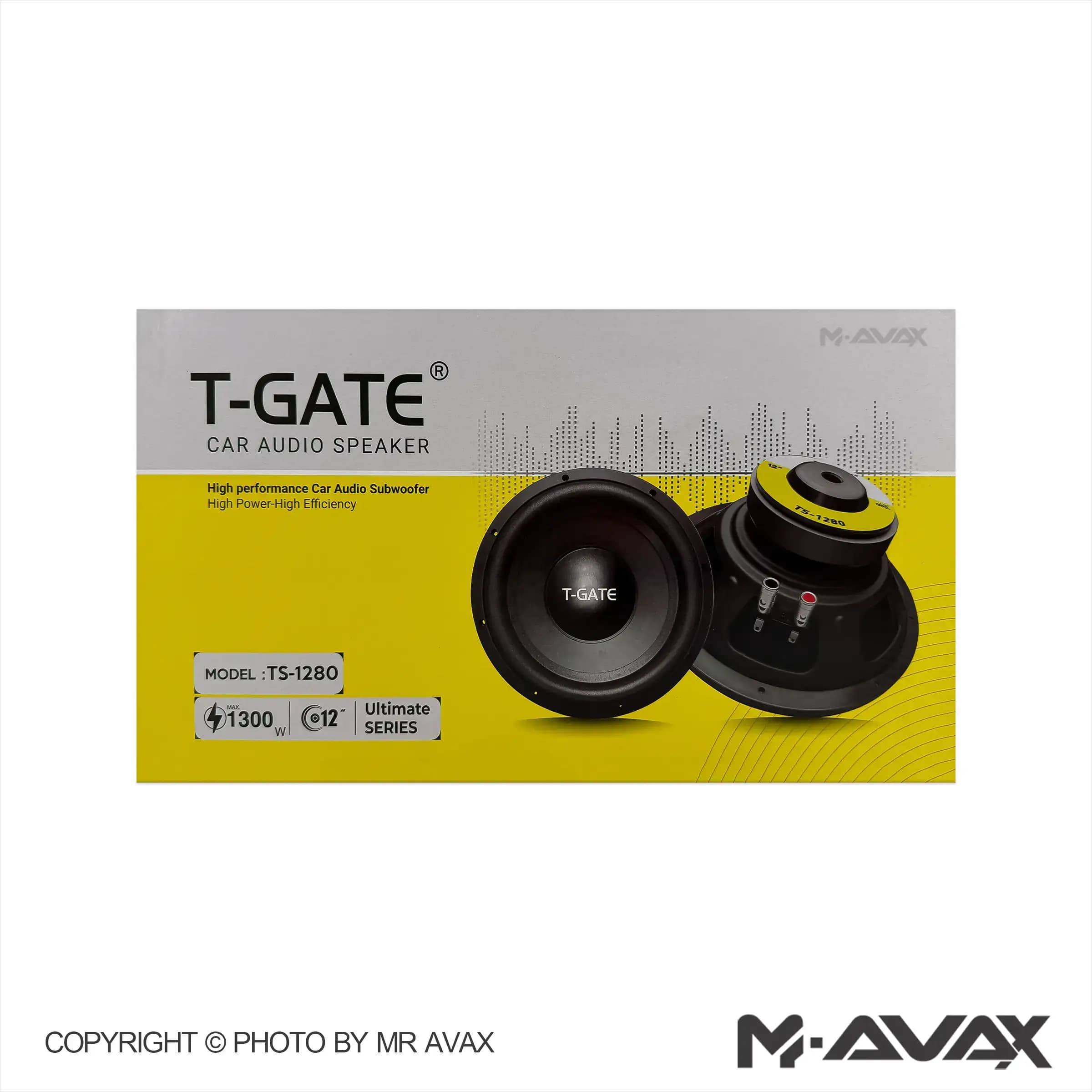 ساب ووفر 12 اینچ مدل T-GATE 1280 — تصویر ۲