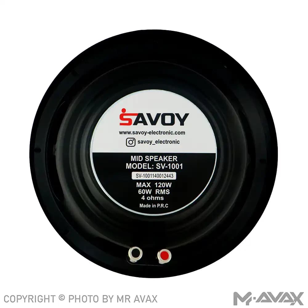 میدرنج 10 اینچ ساووی مدل SV-1001(دو عددی) — تصویر ۳