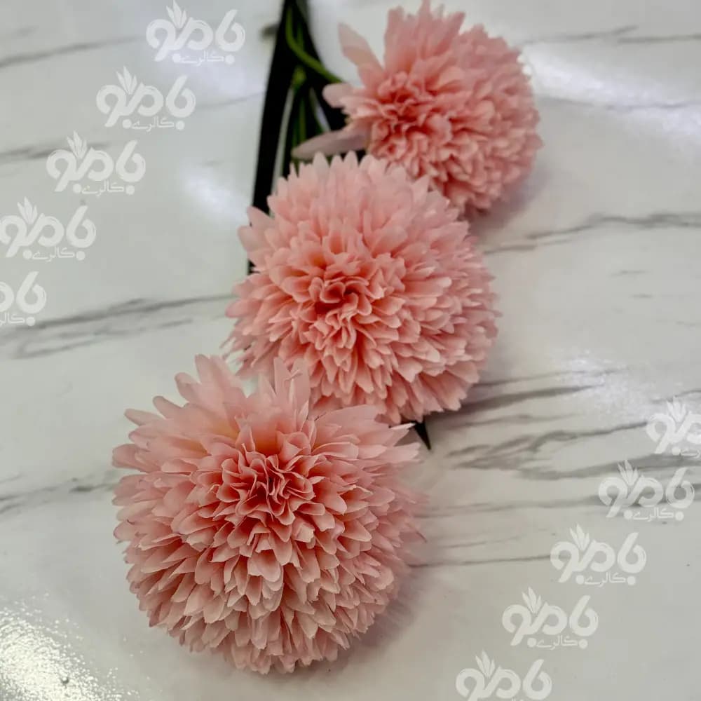 گل بلند.شاخه داوودی 3گل 7005 — تصویر ۲