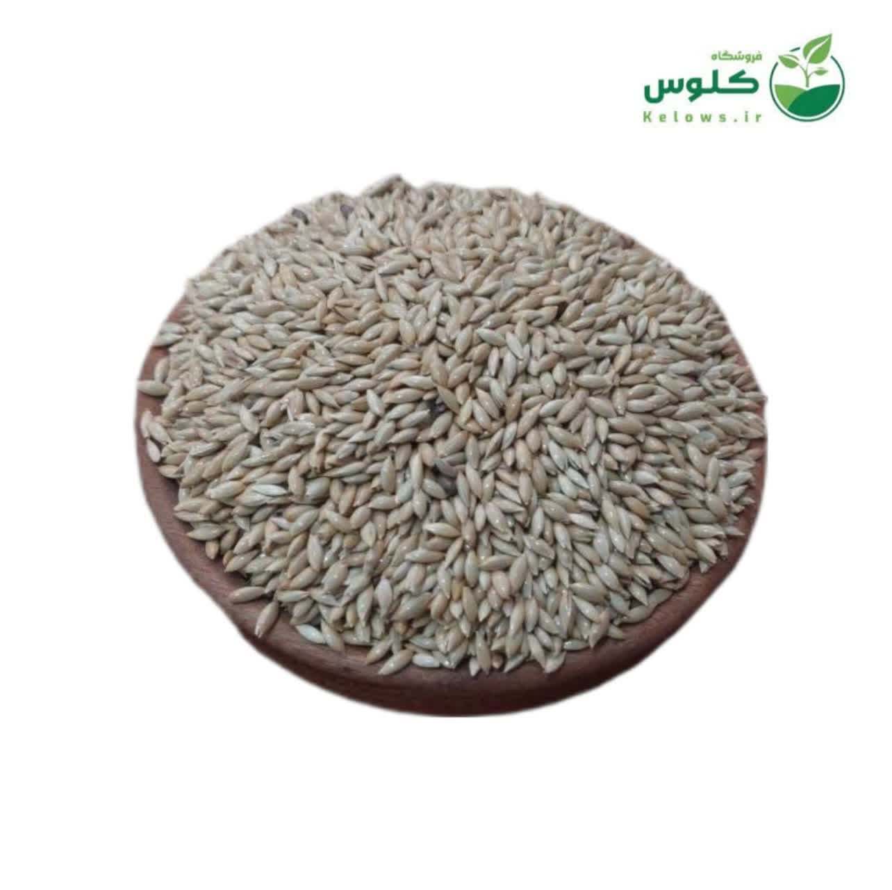 تخم کتان 500 گرمی — تصویر ۲