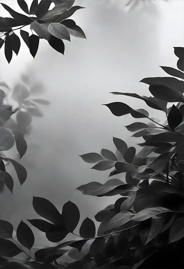 بک گراند برگ و درخت — تصویر ۵