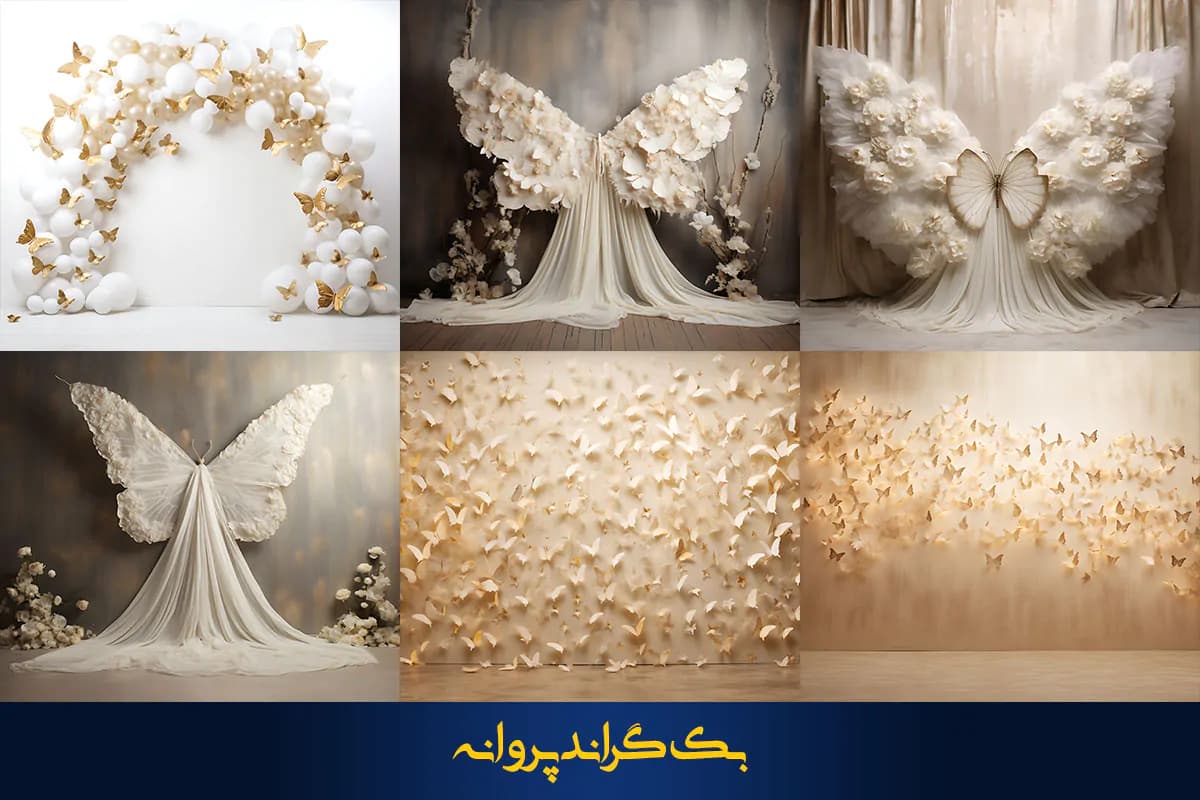 36 بک گراند پروانه برای آتلیه عکاسی — تصویر ۷