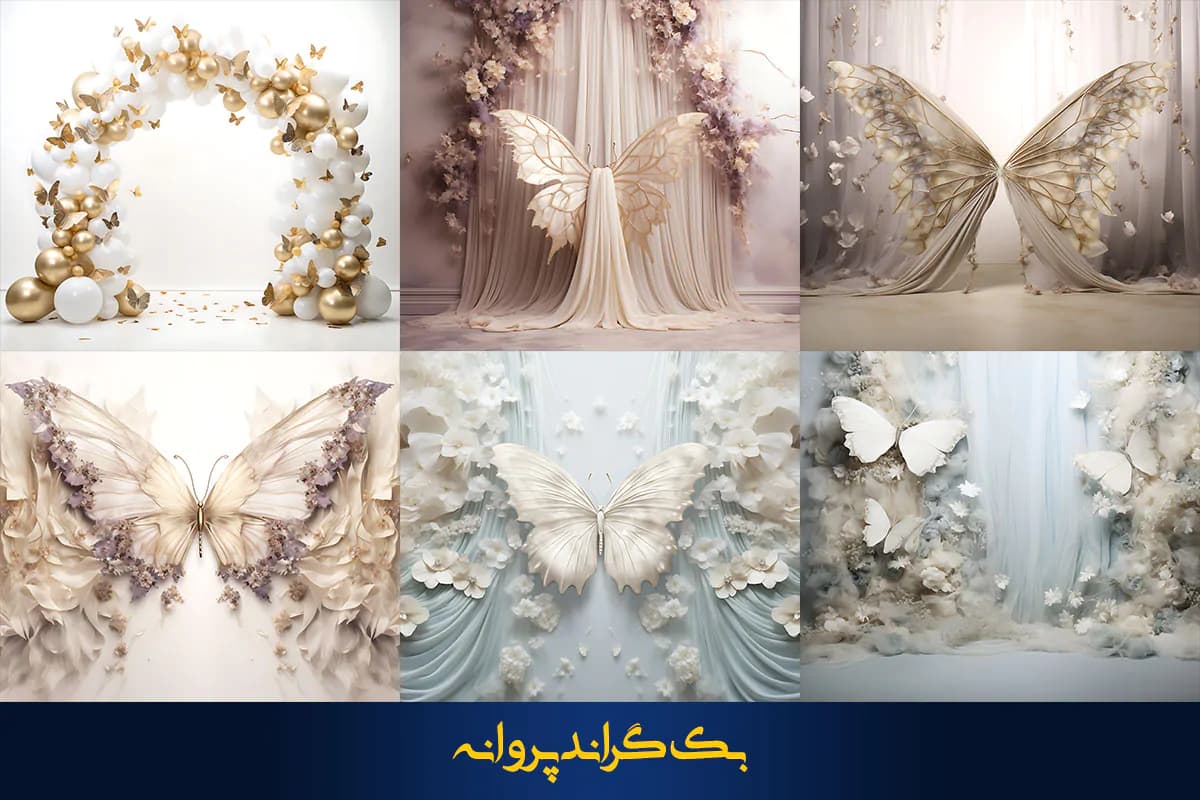 36 بک گراند پروانه برای آتلیه عکاسی — تصویر ۲