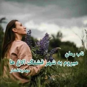 دانلود رمان در میروم به شهر قشنگ الاغ ها اثر مهدیه افشار — تصویر ۲