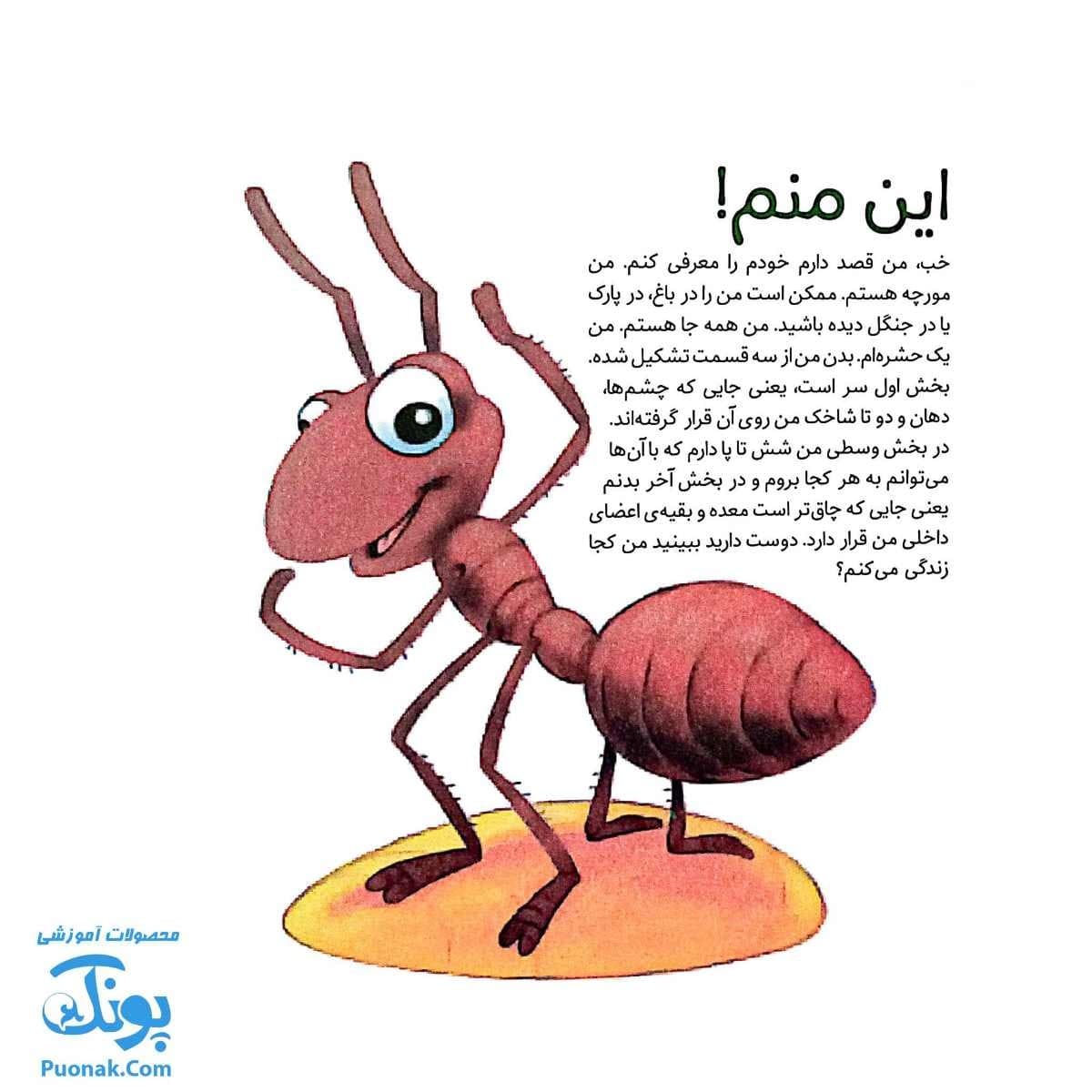 کتاب به دنبال مورچه ها دنیای شگفت انگیز مورچه ها و آفرینش آنها — تصویر ۲