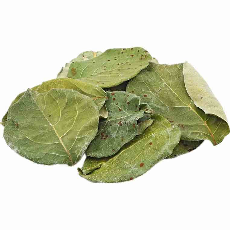 گیاه دارویی برگ به ۱۰۰ گرمی
