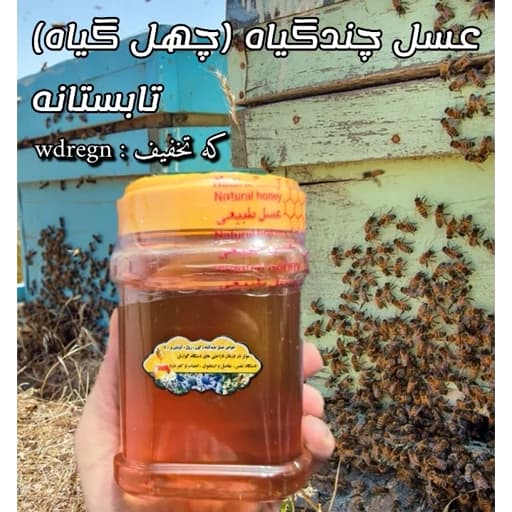عسل چندگیاه تابستان فریدن 1 کیلویی-دشتی و کوهی(خرید مستقیم از زنبوردار ) ارسال رایگان با خرید 2 میلیون از غرفه