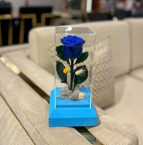 گل رز جاودان برای جشن نامزدی چه رنگهایی دارد؟