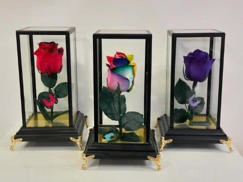 گل رز جاودان برای هدیه به زن چه تاثیری در احساسات دارد؟